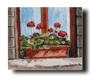 Geraniums