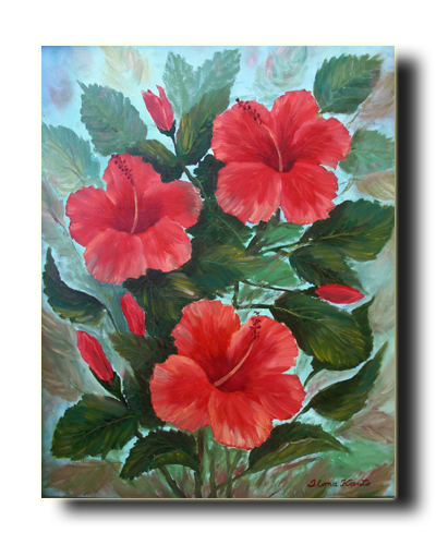 Hibiscus