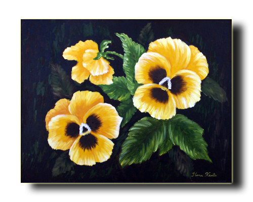 Yellow Pansies